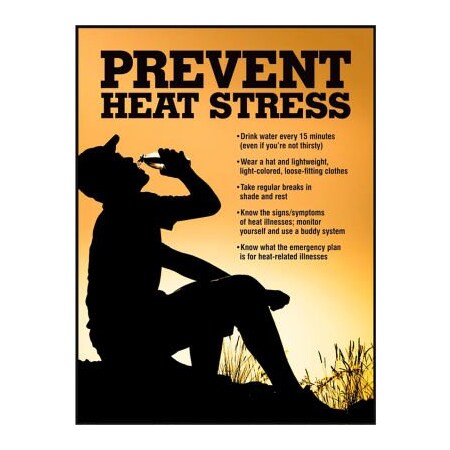 Accuform Accuform Safety Poster, PREVENT HEAT STRESS, 22inH x 17inW, Poster Paper SP125033